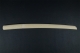 SHOTO white oak