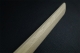 SHOTO white oak