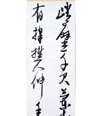 KAKEJIKU modelo 5