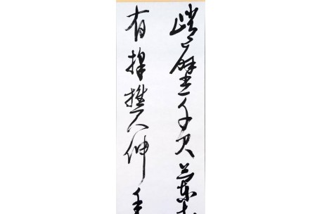 KAKEJIKU modelo 5