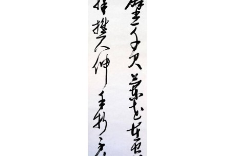KAKEJIKU modelo 5