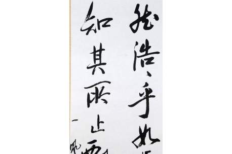 KAKEJIKU modelo 7