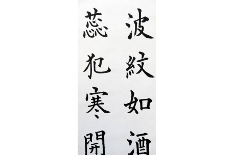 KAKEJIKU modelo 8