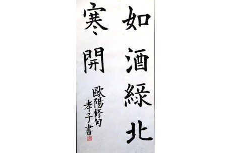 KAKEJIKU modelo 8