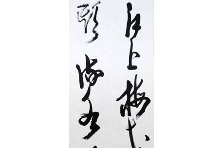KAKEJIKU modelo 9