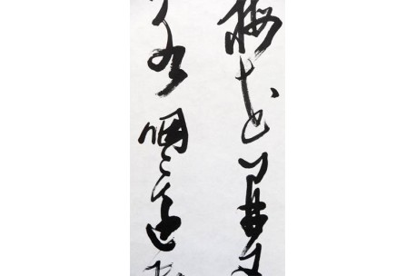 KAKEJIKU modelo 9