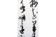 KAKEJIKU modelo 9