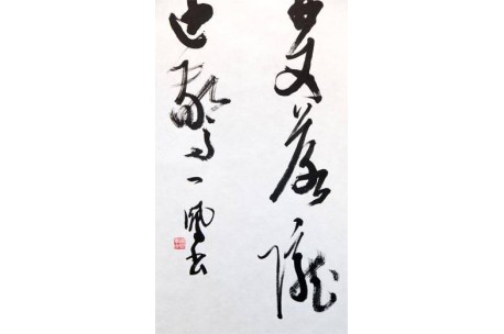 KAKEJIKU modelo 9