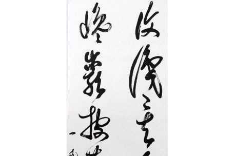 KAKEJIKU modelo 10