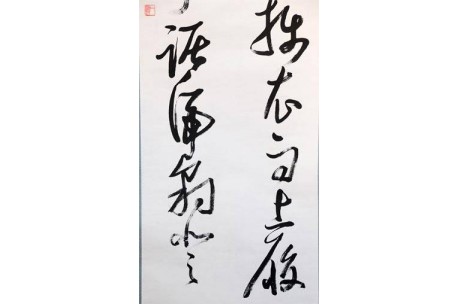 KAKEJIKU modelo 10