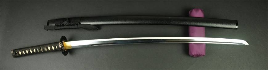 IAITO junior model